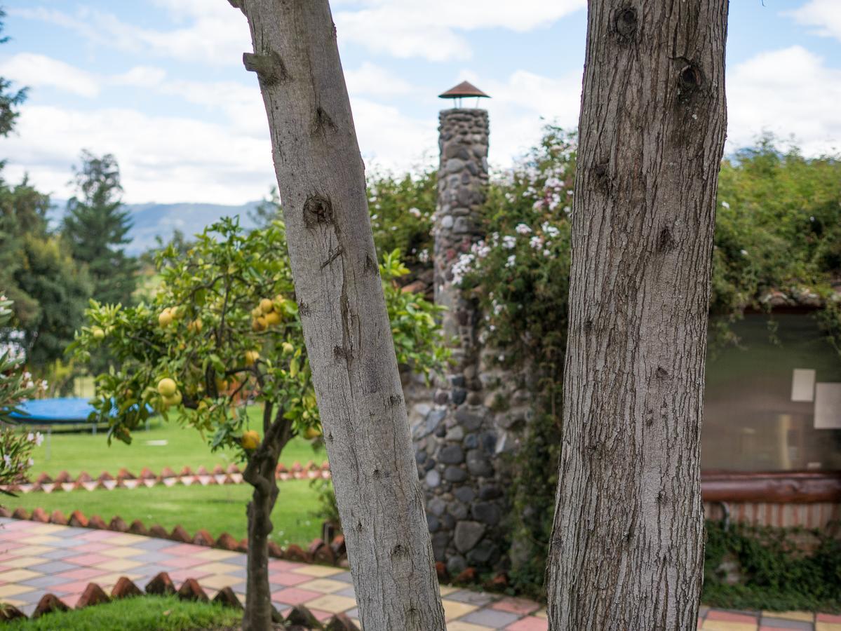 Zaysant Ecolodge Пуэмбо Экстерьер фото