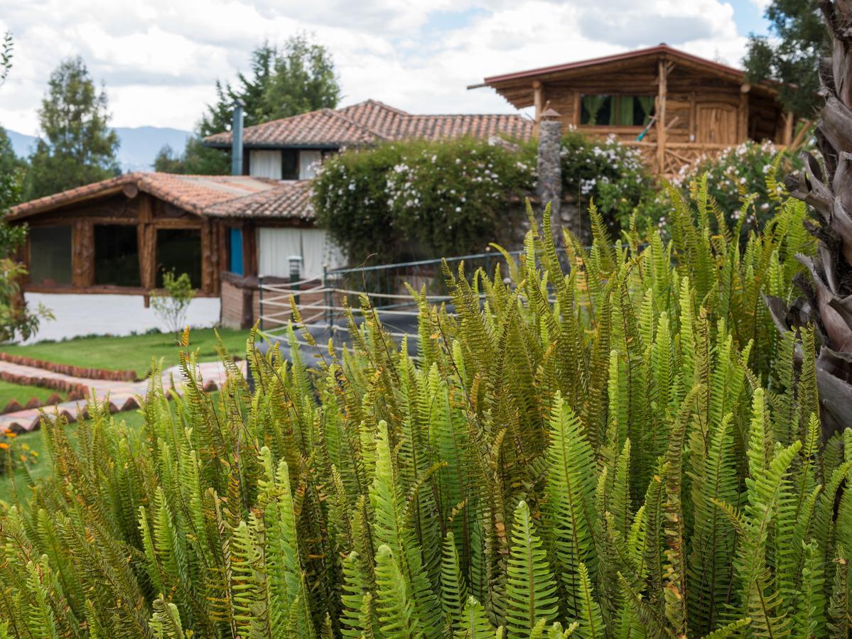 Zaysant Ecolodge Пуэмбо Экстерьер фото